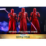 Hot Toys Star Wars - Imperial Praetorian Guard 1/6 - The Mandalorian