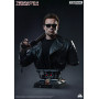 Queen studios - Terminator 2 - T-800 Life Size Bust