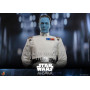 Hot Toys Star Wars - Grand Admiral Thrawn 1/6 - Ahsoka