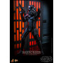 Hot Toys Star Wars - Shadow Trooper with Death Star Environment MMS 1/6