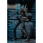 Neca Aliens - Ultimate Blue Xenomorph Warrior