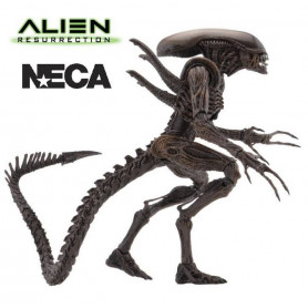 NECA ALIENS SERIES 14 - Alien Resurrection - Warrior Alien