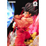 Tsume Dragon Ball Z HQS Statue Goku Kaio-ken - 10 years