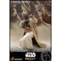 Hot Toys Star Wars - The Mandalorian - Tusken Raider