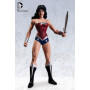 DC Collectibles Figurine Wonder Woman Justice League