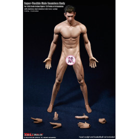 Phicen - TBLeague 1/6th Scale Super-Flexible Male Seamless Body - Corp bronzé Musculature Moyenne 