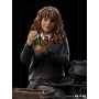 Iron Studios - Harry Potter a l'ecole des sorciers - Hermione Granger Polyjuice BDS Scale 1/10