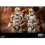 Hot toys - Star Wars Attack of the Clones - Clone Pilot