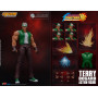 Storm Collectibles - The King of Fighters 98 UM - Terry Bogard Green Variant 1/12 - BBICN exclusive
