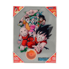 SD Toys - Dragonball poster en verre "Characters"