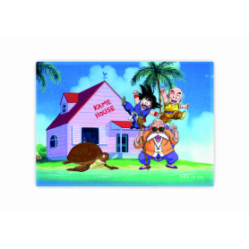SD TOYS - Aimant Dragon Ball - Kame House