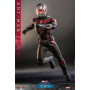 Hot Toys Movie Masterpiece 1/6 Ant-Man - AntMan & The Wasp: Quantumania
