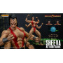 Storm Collectibles - Mortal Kombat 3 - Sheeva 1/12